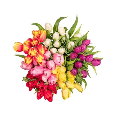 Shop Fresh Flowers.