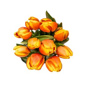 Member's Mark Tulips, 50 stems