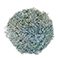 Light Blue, variant on Member's Mark Enhanced Gypsophila, choose color and stem count