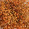 Orange, variant on Member's Mark Enhanced Gypsophila, choose color and stem count