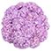 Purple, variant on Member's Mark Color Enhanced Hydrangeas, 20 stems, choose color