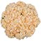 Orange, variant on Member's Mark Color Enhanced Hydrangeas, 20 stems, choose color