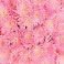 Pink, variant on Member's Mark Painted Mums,  choose color and stem count