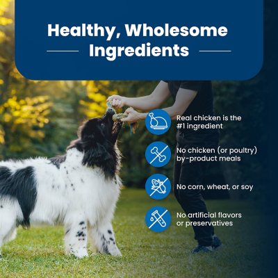 Blue Life Protection Formula Dry Dog Food Chicken Brown Rice