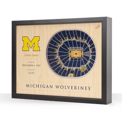 YouTheFan Michigan Wolverines 25-Layer Basketball Stadium View 3D Wall Art
