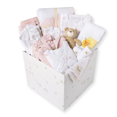 Burt'S Bees Baby 25 Pc Gift Basket Pink Nb:- Pink, NB