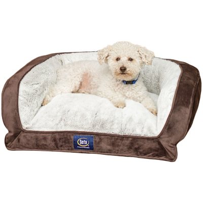 Dog bed sams clearance club