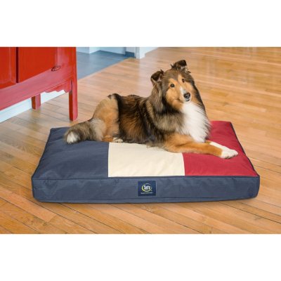 sams club serta dog bed