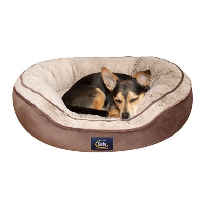 Serta oval sale couch pet bed