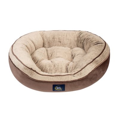 Serta cat fashion bed