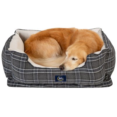 serta dog bed