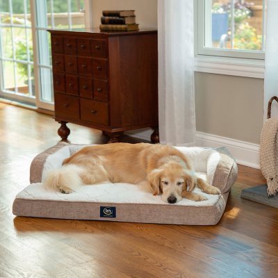 Sams serta best sale dog bed