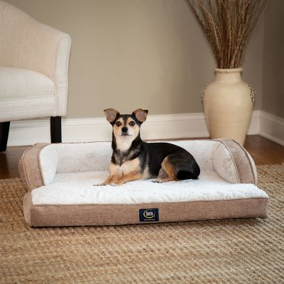 Serta Luxury Sleeper Sofa Pet Bed (Brown)