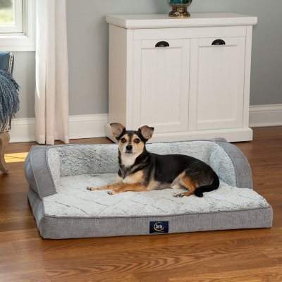 Sam's club 2025 orthopedic dog beds