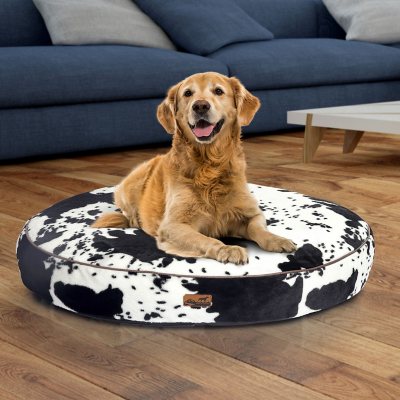 Dog bed sams hotsell