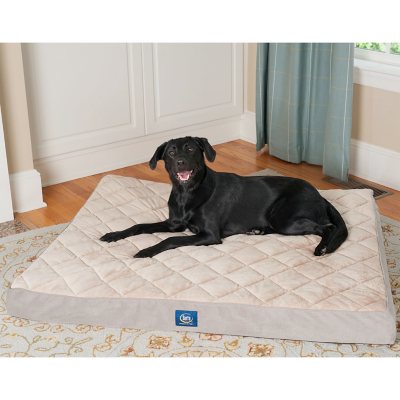 Serta orthopedic quilted pillowtop outlet dog & cat bed