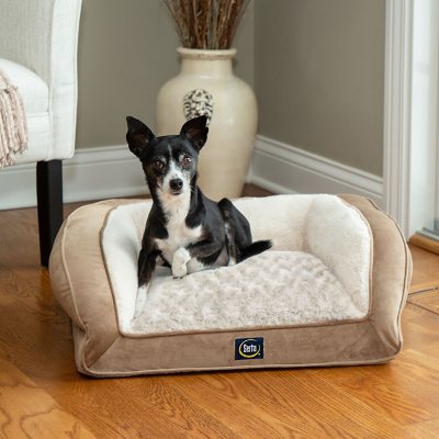 Sams serta 2025 dog bed