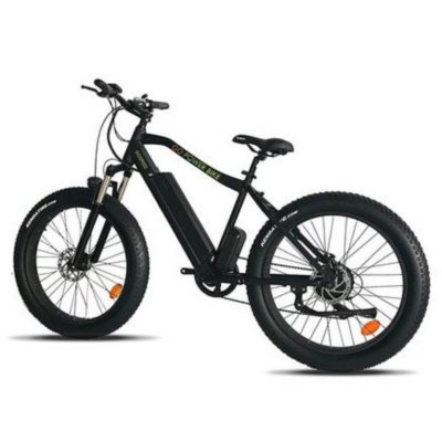 sam's club electric bikes