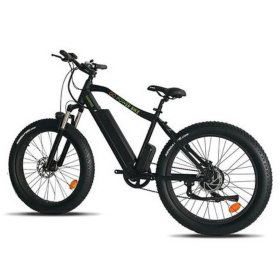 GoSpeedBike Electric All Terrain Bicycle with 500W Removable 48V 110AH Lithium-Ion Battery