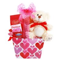 Alder Creek Gift Baskets Hugs & Kisses Valentine's Day Candy Gift with Plush