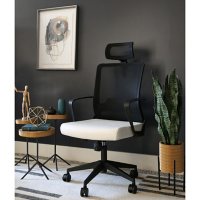 Stanley Adjustable High Back Mesh Office Chair, Assorted Colors