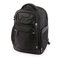 Brookstone Hayes 18" Business Laptop Backpack - Black/Gold