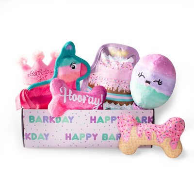 Goody Box Birthday Dog Toys & Treats, X-Small/Small