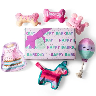 Barkbox store birthday box