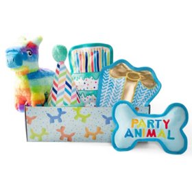 Party Animal Birthday Box Dog Toy Bundle, 5-Piece Set Blue