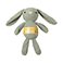 Gray, variant on Jumbo Plush Bunny Dog Toy with TPR Ball & Rope