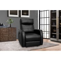 Porter Power Recliner with Power Adjustable Headrest, Assorted Colors