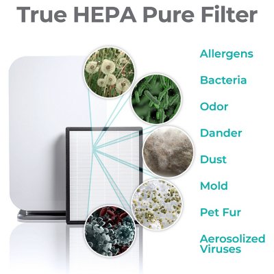 4-in-1 Air Purifier - True HEPA Filter with Negative Ion Generator, Free  Delivery