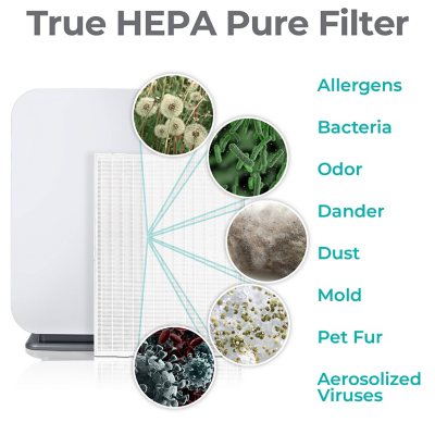 Alen BreatheSmart 75i HEPA Filter