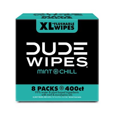 DUDE Wipes On-The-Go Flushable Wet Wipes - 1 Pack, 30 Wipes - Mint