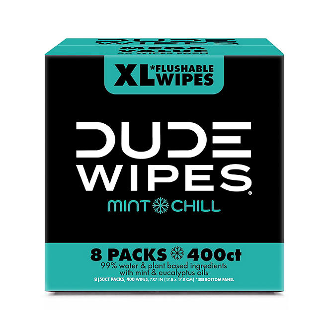 DUDE Wipes Flushable Wipes, Extra Large, Mint Chill Wipes (400 ct.)