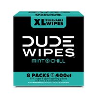 DUDE Wipes Mint Dispenser Pack Club Box, Mint Chill (8 pk., 50 ct.)