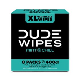 DUDE Wipes Flushable Wipes, Extra Large, Mint Chill Wipes (400 ct.)