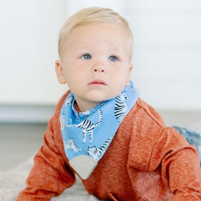 Bazzle baby hot sale bandana bib