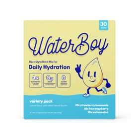 Waterboy Sugar Free Daily Hydration Electrolyte Drink Mix Variety Pack, 30 ct.