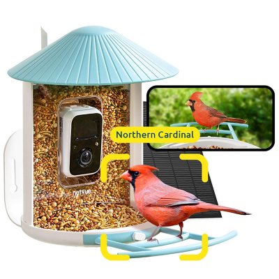 Birdfy Smart Bird Feeder with 1080p Camera Full Color Night Vision