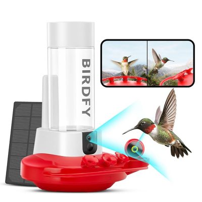 Birdfy Hummingbird Feeder with Dual Camera