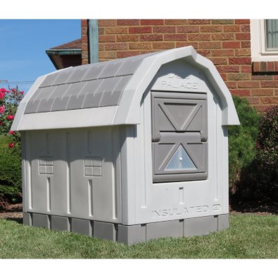 Large insulated dog house with clearance heater