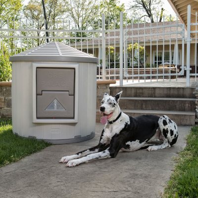 ASL Solutions Insulated Colossal Round Barn Premium Palace Dog House (38  Diam., 46H) - Sam's Club