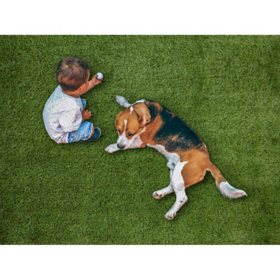 Select Surfaces Evergreen Artificial Grass Sam S Club