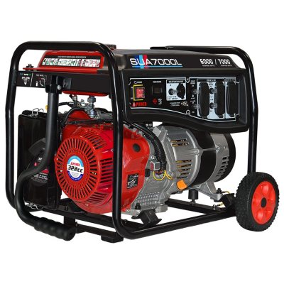 Champion 4,375W Peak/3,500W Rated Dual Fuel Portable Generator - BJs  WholeSale Club