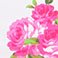Pink - Online Only, variant on Betsey Johnson Women's Mid-Rise Swim Bottom