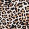 Brown, variant on Betsey Johnson Women's Core One-Piece Swimsuit