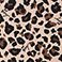 Brown, variant on Betsey Johnson Women's Short Sleeve & Ruffle Short Pajama Set