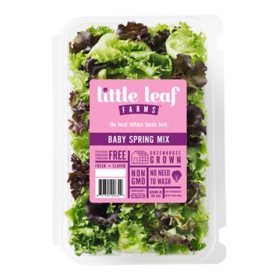 Little Leaf Farms Spring Mix, 10.5 oz