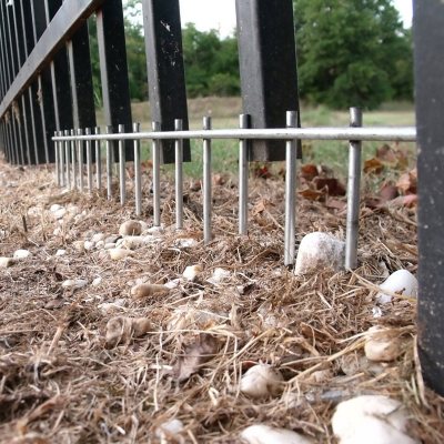 Under gate 2025 dog barrier